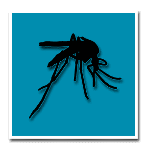 A mosquito resting on a leaf.